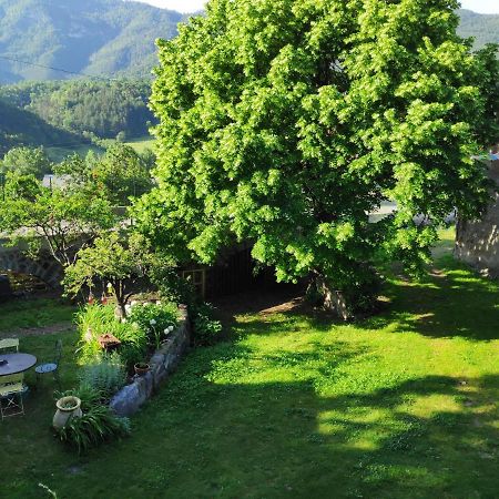 Gite La Taniere Des Alpes Bayons Екстер'єр фото